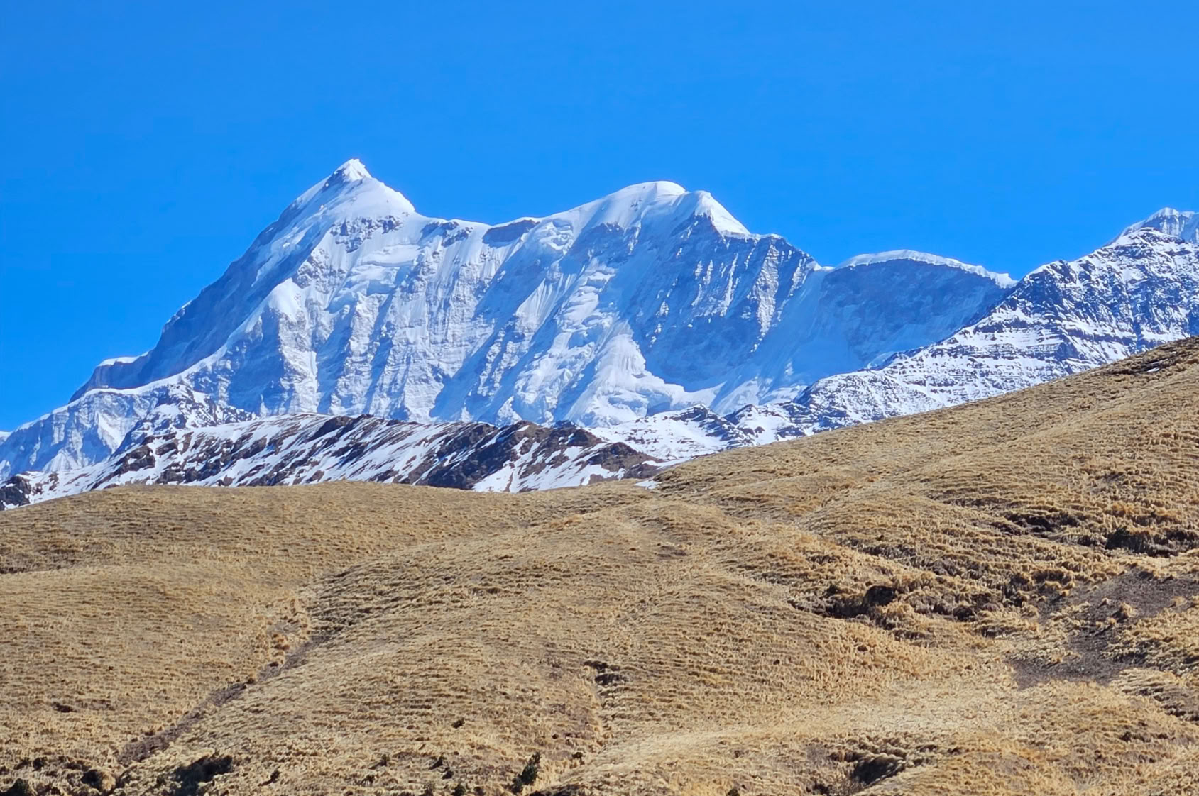 Bedni Bugyal žygis – 2026 m. liepos 9–13 d.