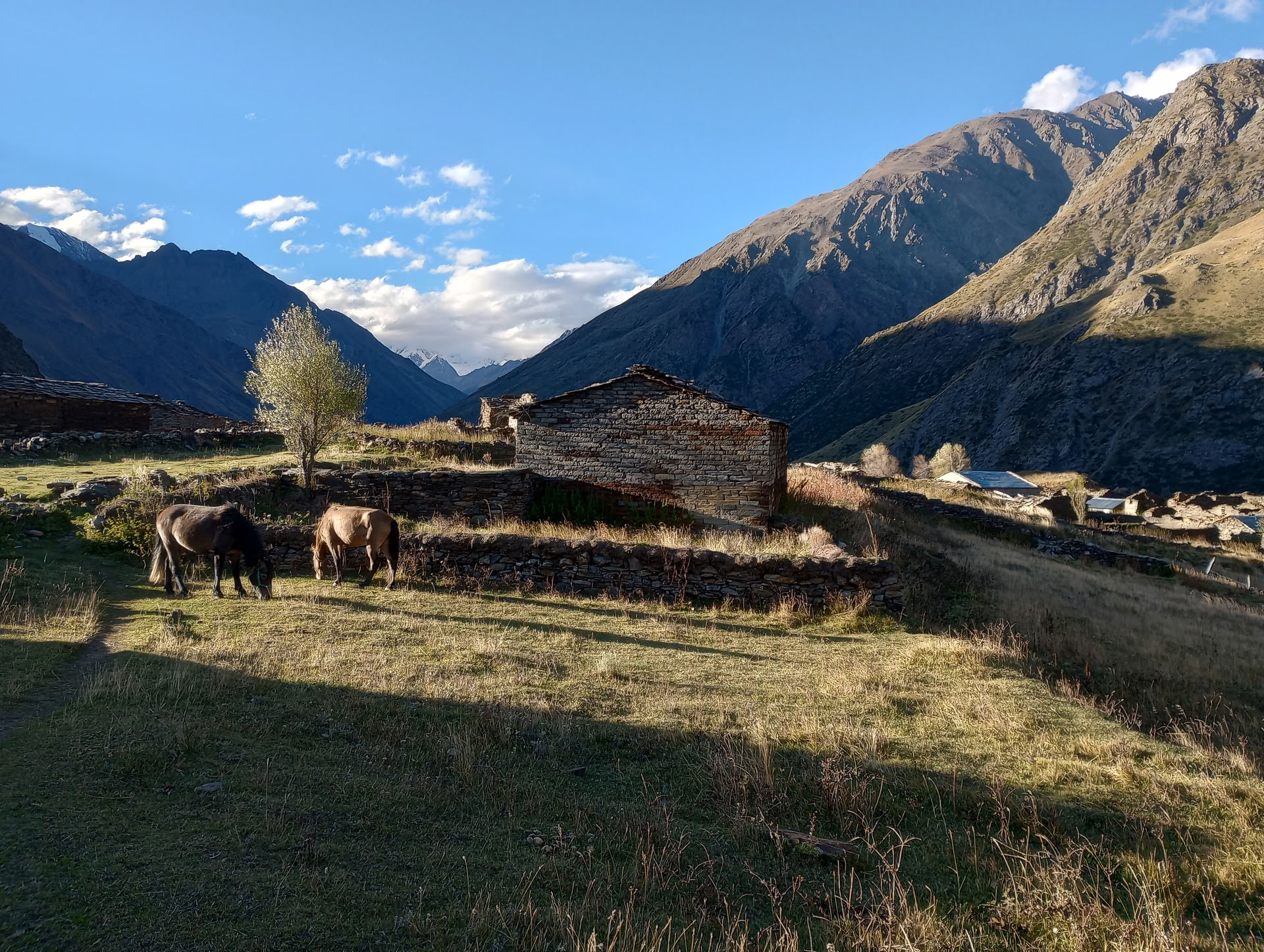 Nanda Devi ir Milamo ledyno žygis