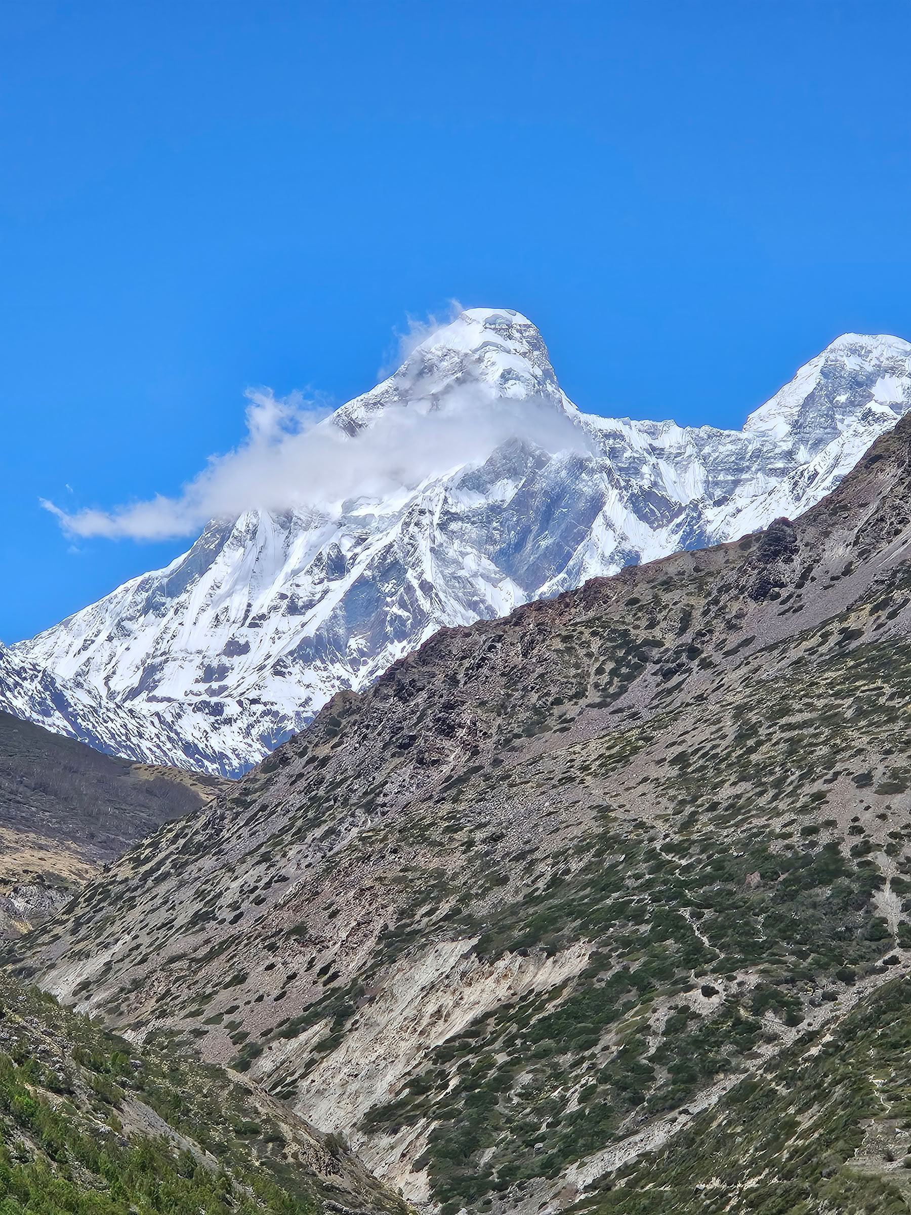 Nanda Devi ir Milamo ledyno žygis