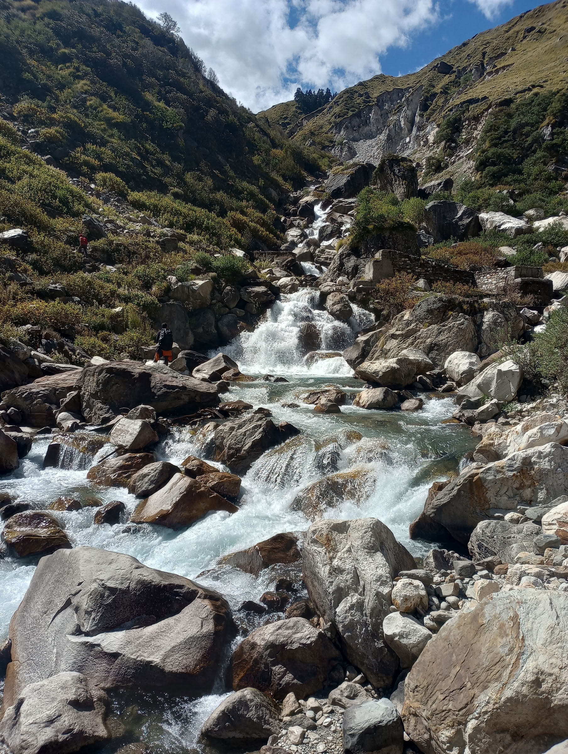 Nanda Devi ir Milamo ledyno žygis