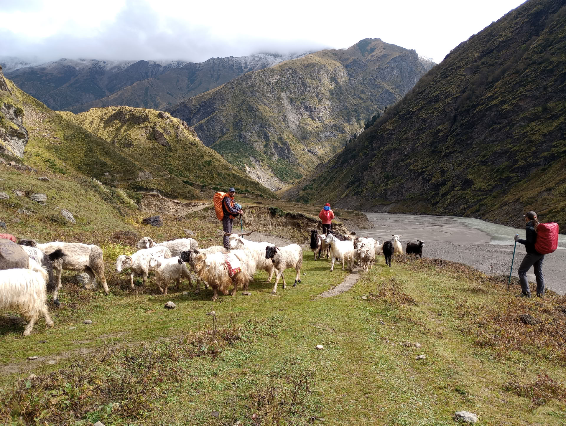 Nanda Devi ir Milamo ledyno žygis
