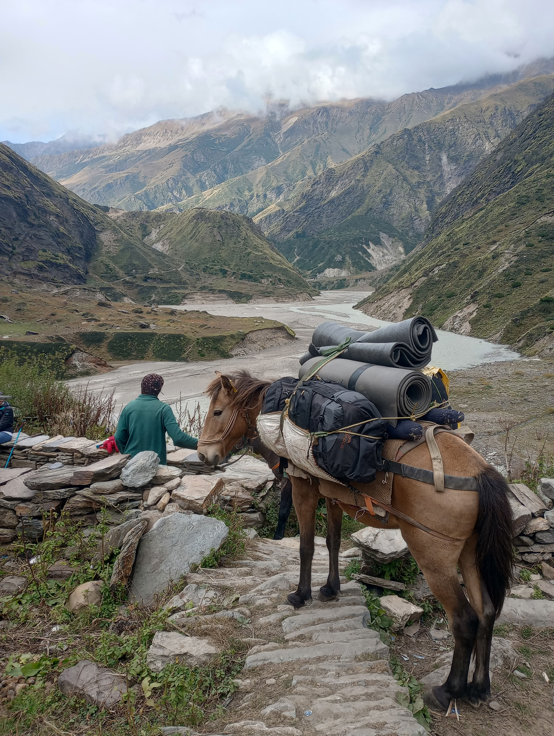 Nanda Devi ir Milamo ledyno žygis