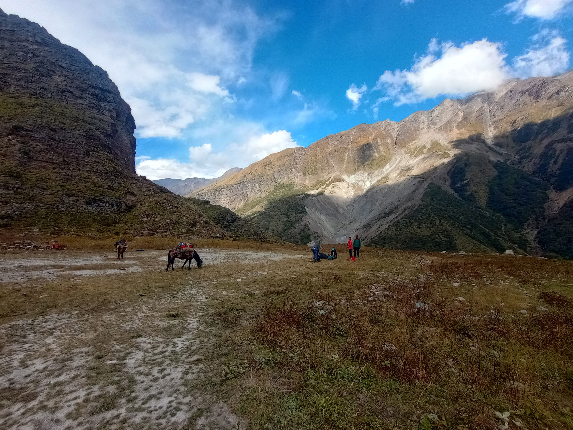 Nanda Devi ir Milamo ledyno žygis