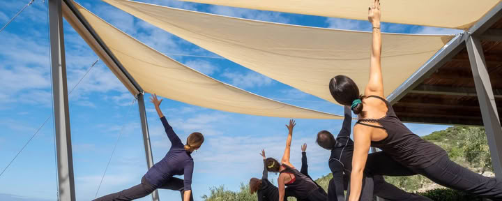 100 valandų mokytojo rengimas: Abhaya Yoga TT