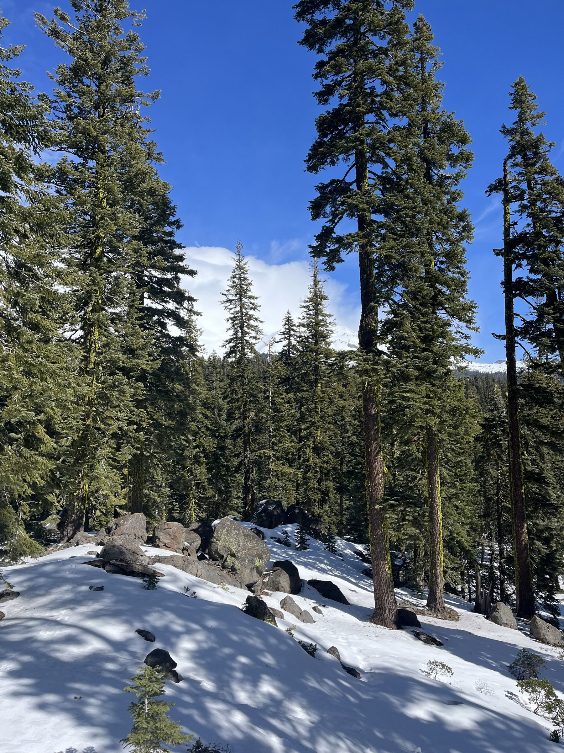 Gilios vidinės ramybės retritas: Mt. Shasta, CA