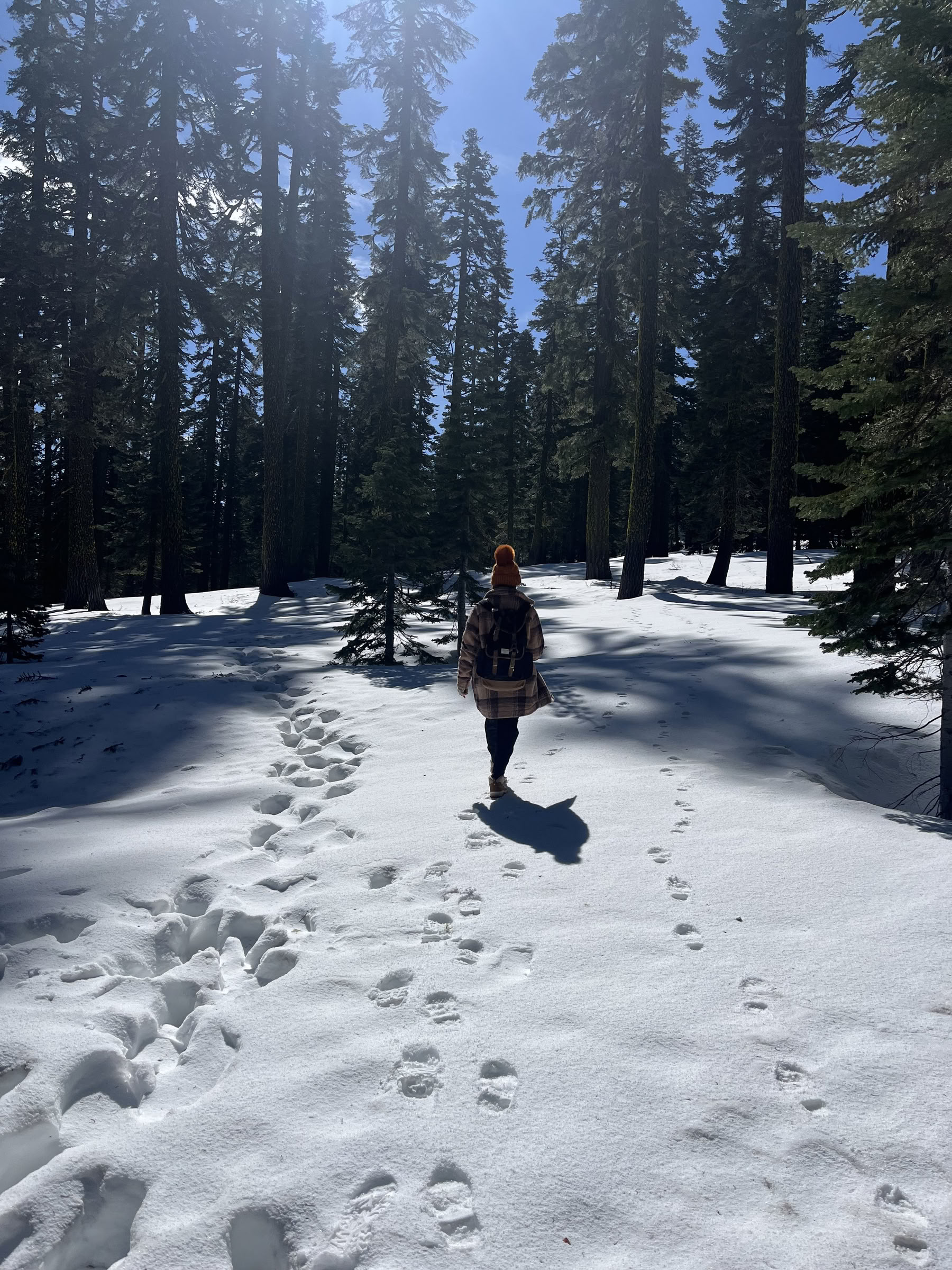 Gilios vidinės ramybės retritas: Mt. Shasta, CA
