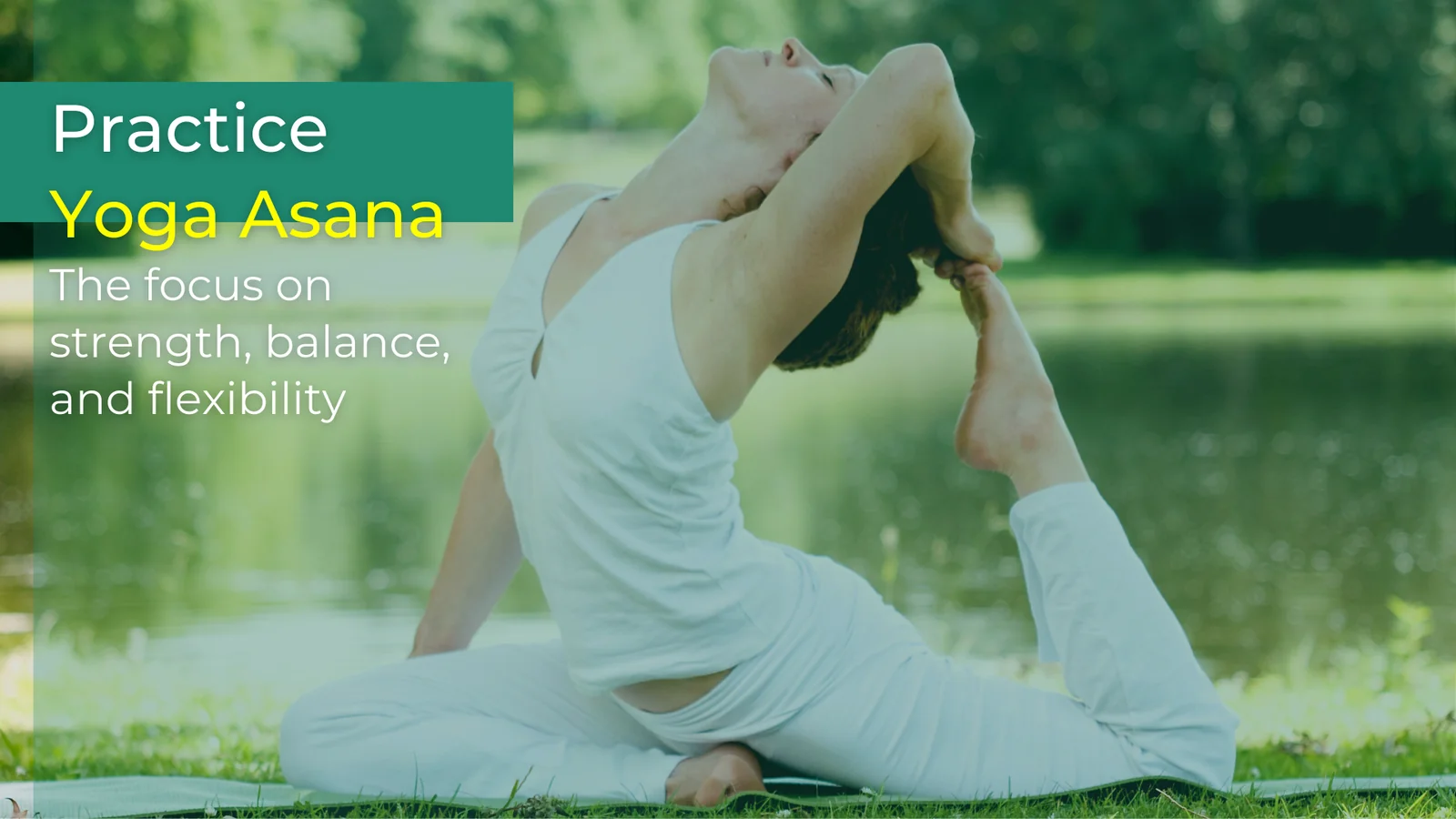 Joga retritas Nyderlanduose: 3 dienos palaimos