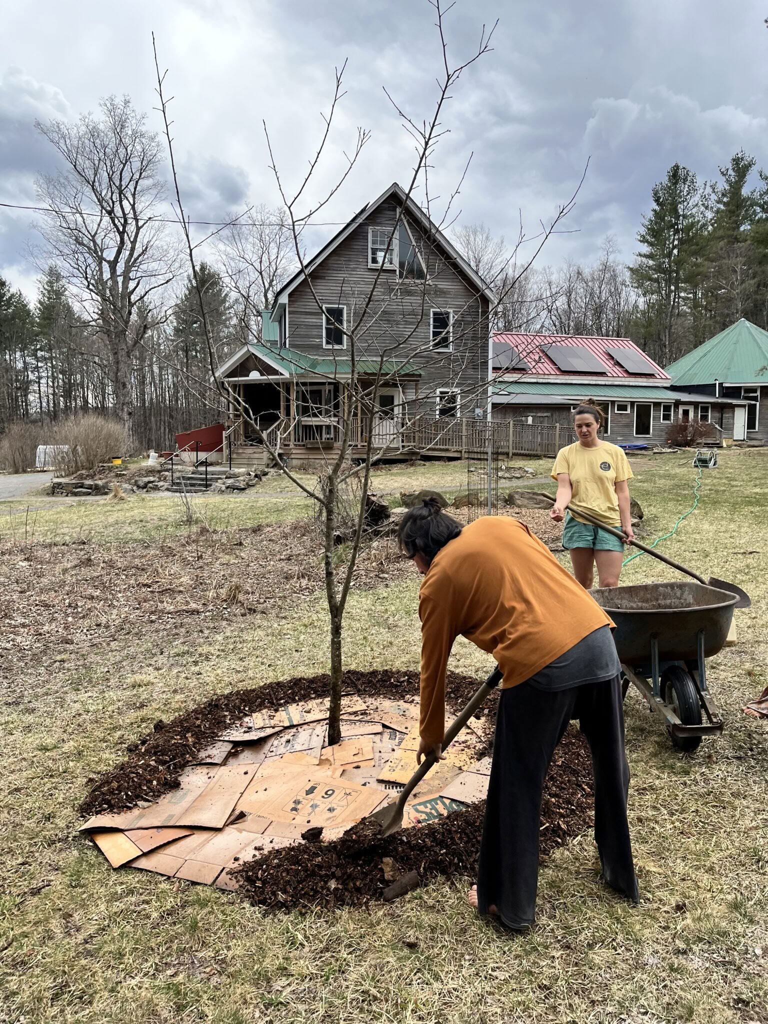 Earthdance Garden 2-asis sekmadienio bendruomenės savanorystės diena