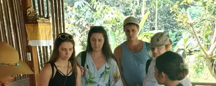 Kavos plantacija
