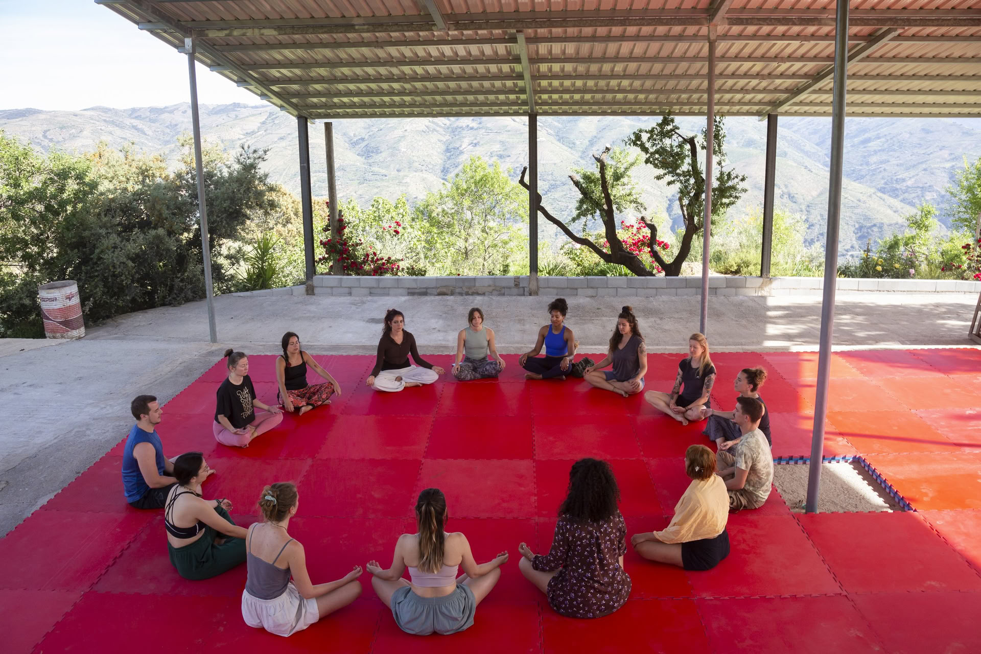 NEMOKAMA MEDITACIJA ANGLŲ KALBA su Tim