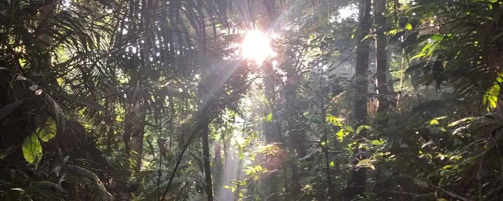 15 DIENŲ RETRITAS: TRANSFORMACIJOS ŠAKNYS