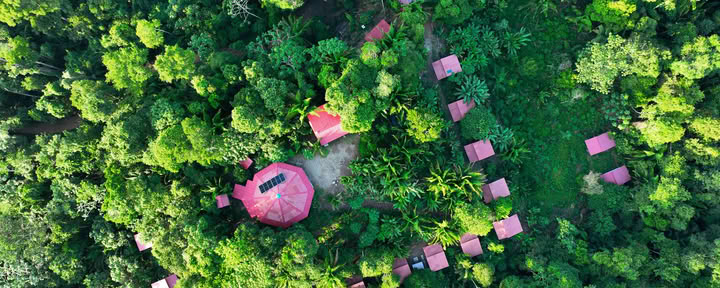 Ayahuasca retritas Pucallpa