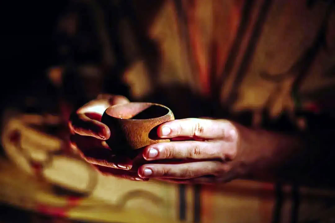 Ayahuasca retritas gėjams ir LGBTQ žmonėms