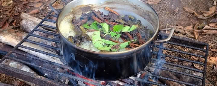 5 dienų Ayahuasca retritas Iquitos-Peru