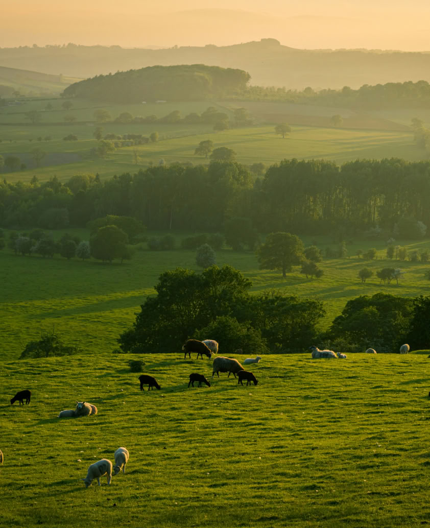 Meilės kelias UK