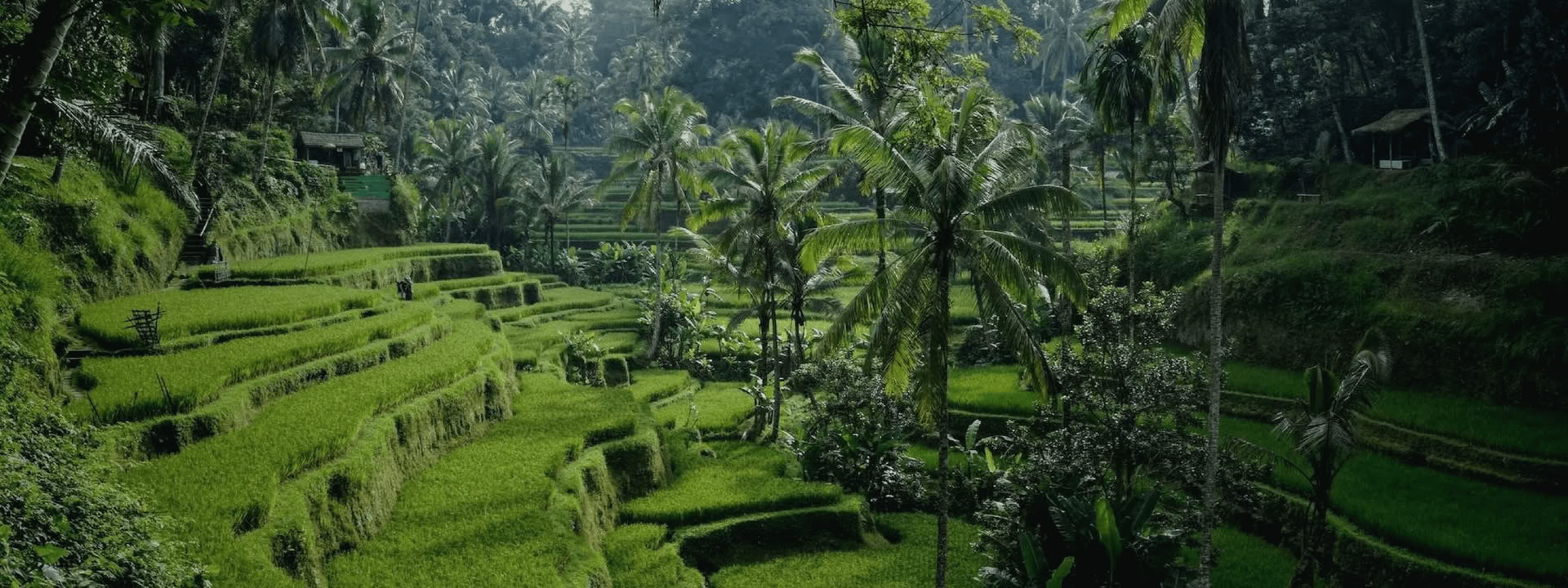 „Bali Bound: Kelionė į vidinę ramybę“