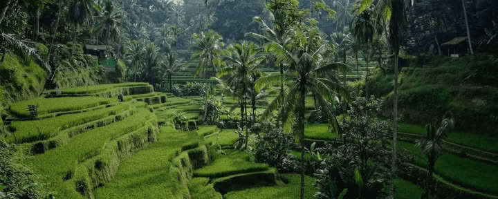 „Bali Bound: Kelionė į vidinę ramybę“