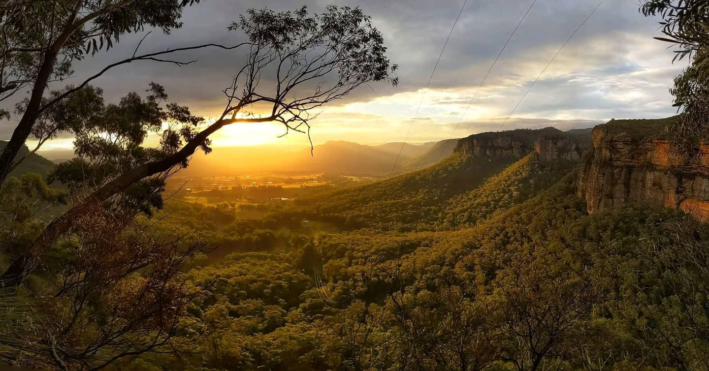 Blue Mountains joga, kopimas ir japonų kalba