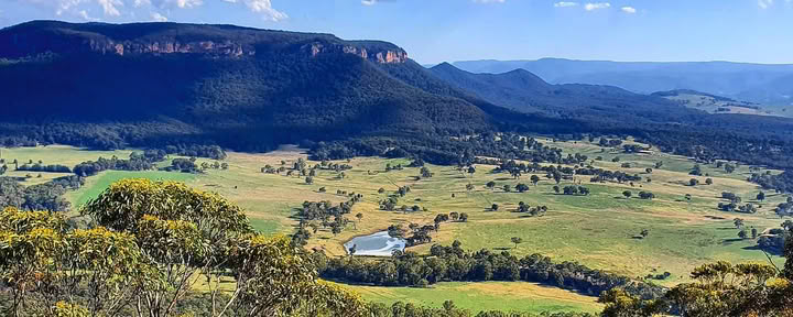 Blue Mountains joga, kopimas ir japonų kalba