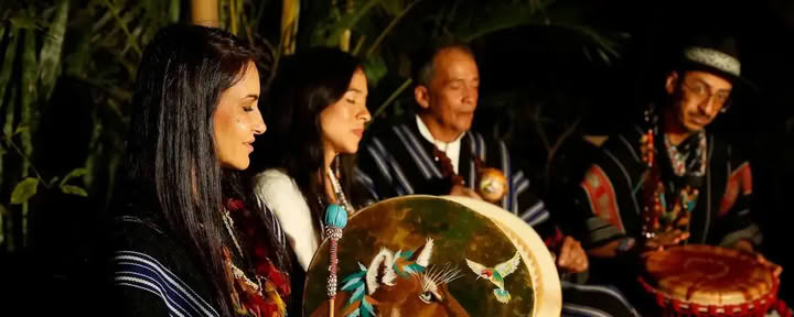 Tradicinis Ayahuasca retritas Austrijoje 3 dienos