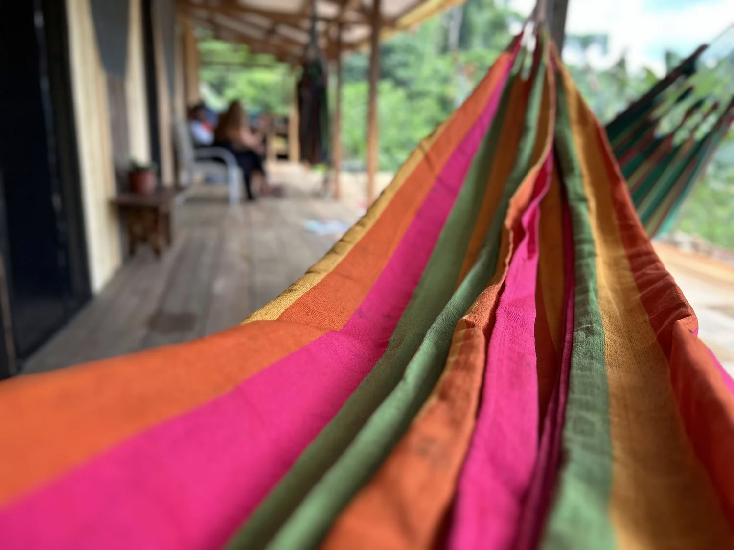 8 dienų yagé arba ayahuasca retritas, 2026 m. liepa, Kolumbijos Amazonė — ZiruYai