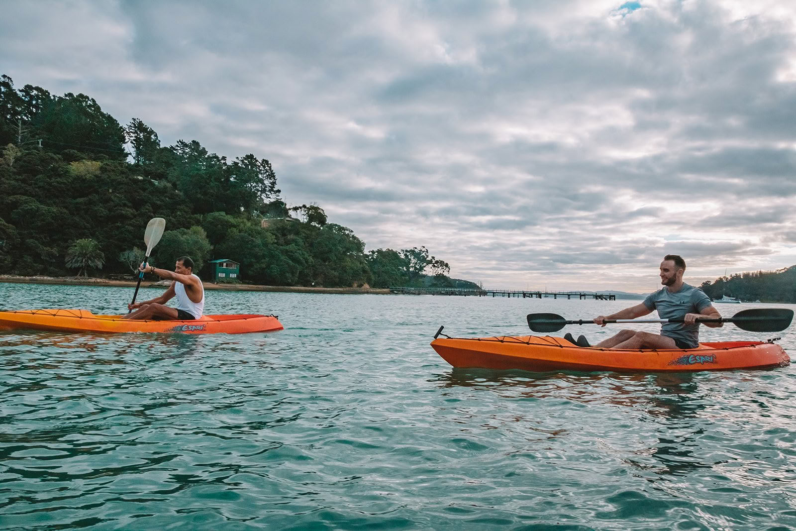 Atsparumas - Stiprybė