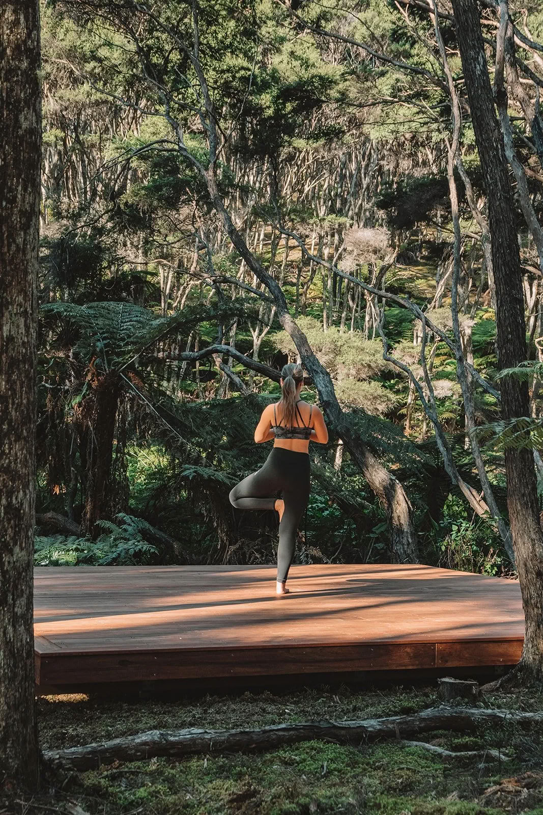 Oracle in the Wild retritas