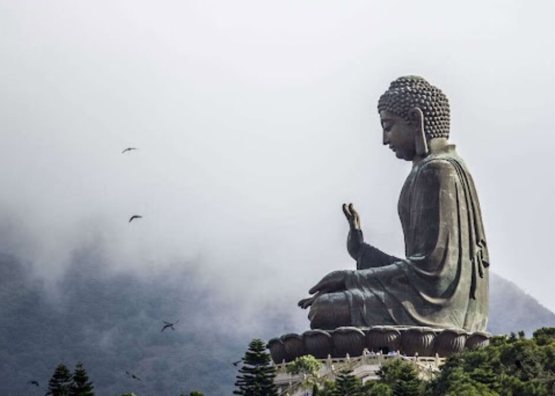 Meditacijos pagrindai II: kelio gilinimas | 2026