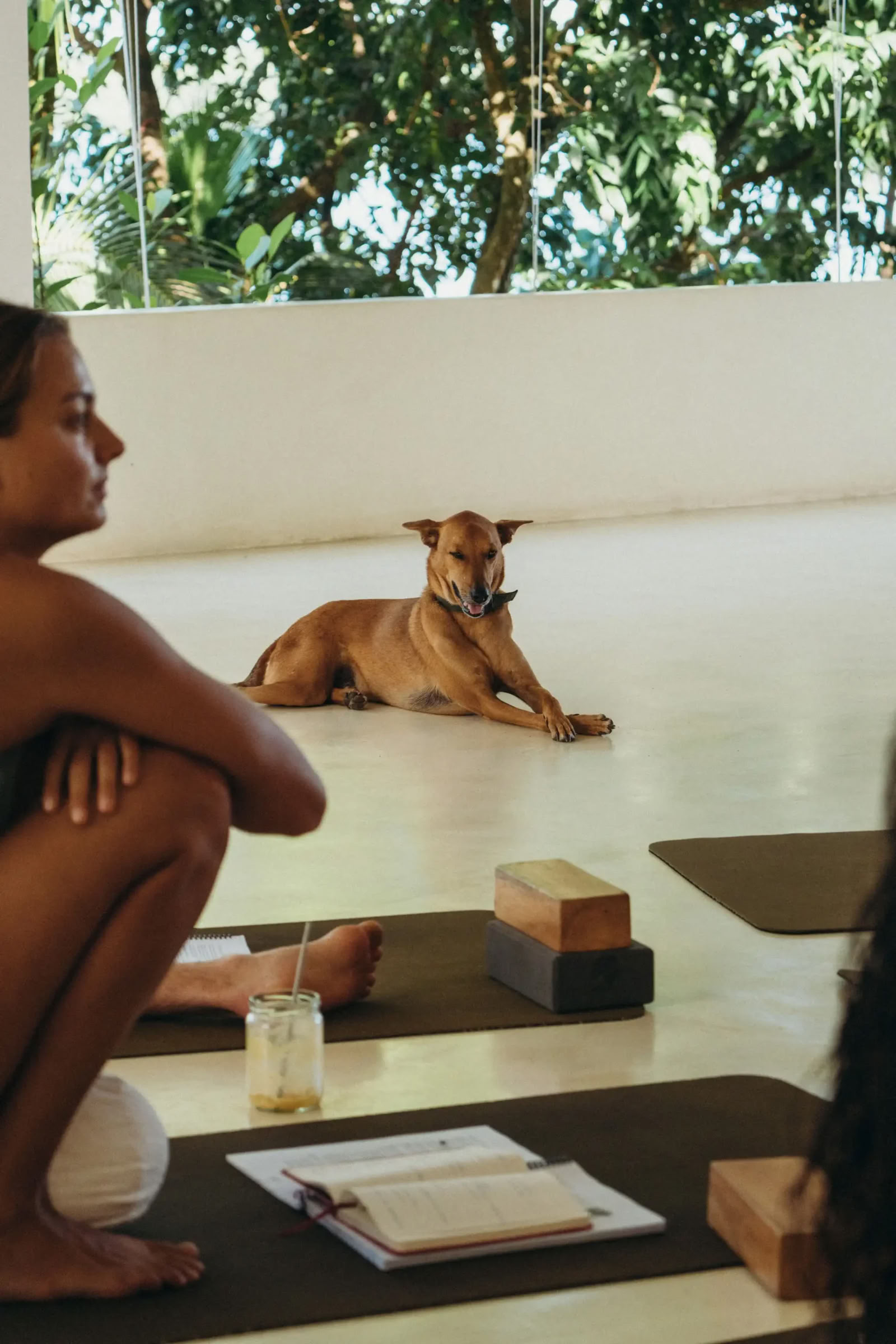 Synergy Vinyasa Jogos Retritas Lanka Yoga studijoje