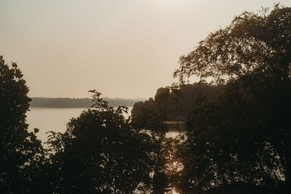 200 valandų „Synergy Vinyasa“ jogos mokytojų mokymai – 2026 m. rugsėjis