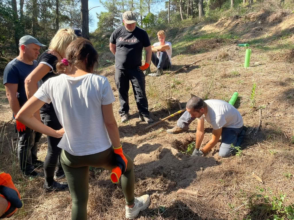 Banglenčių sporto ir jogos „Impact“ retritas