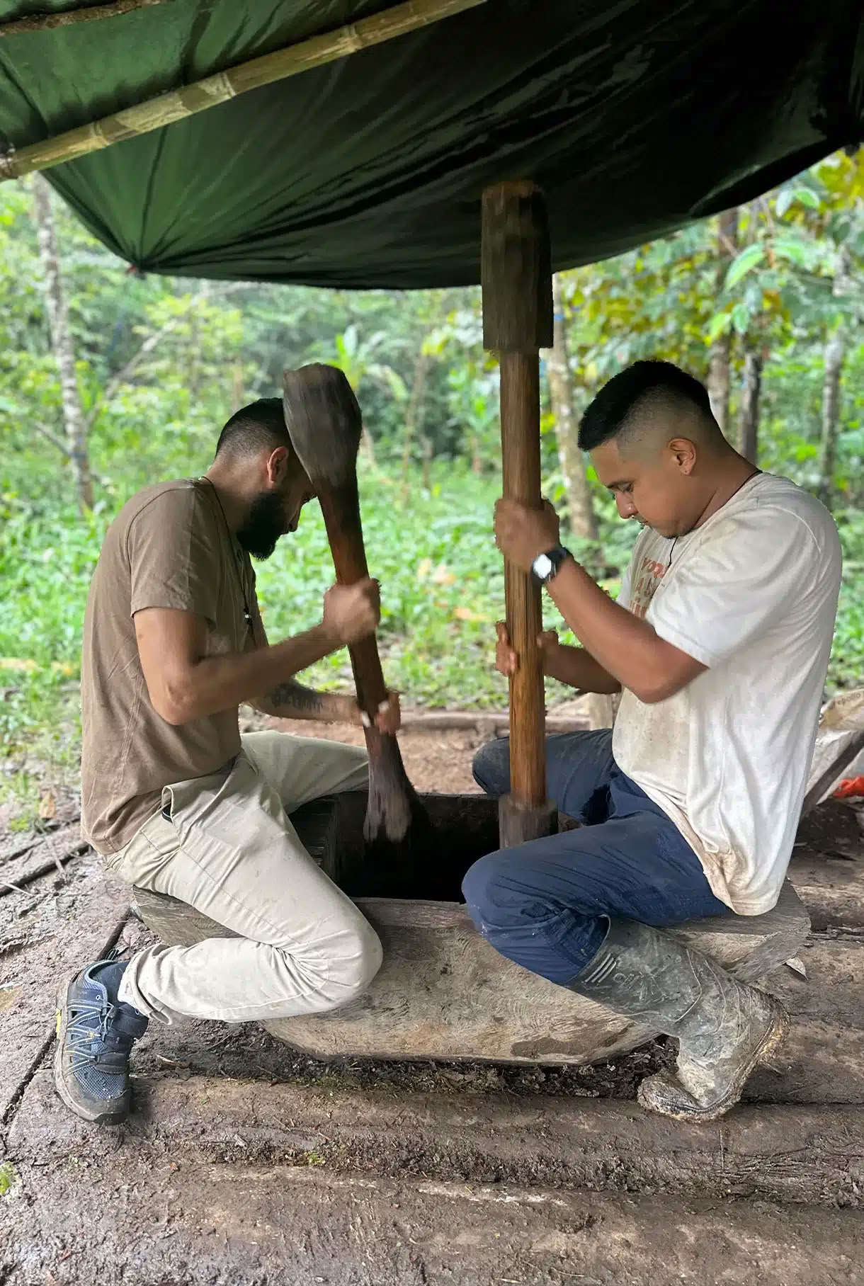 Medicine Maker Ayahuasca Retritas su Taita Miguel