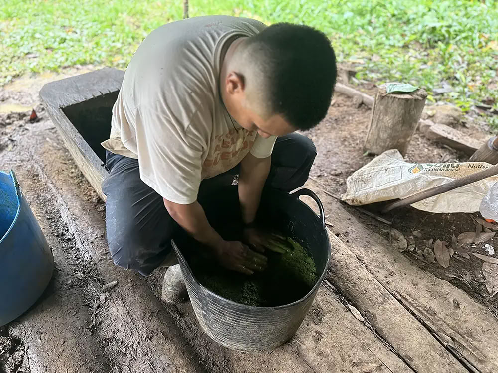 Medicine Maker Ayahuasca Retritas su Taita Miguel