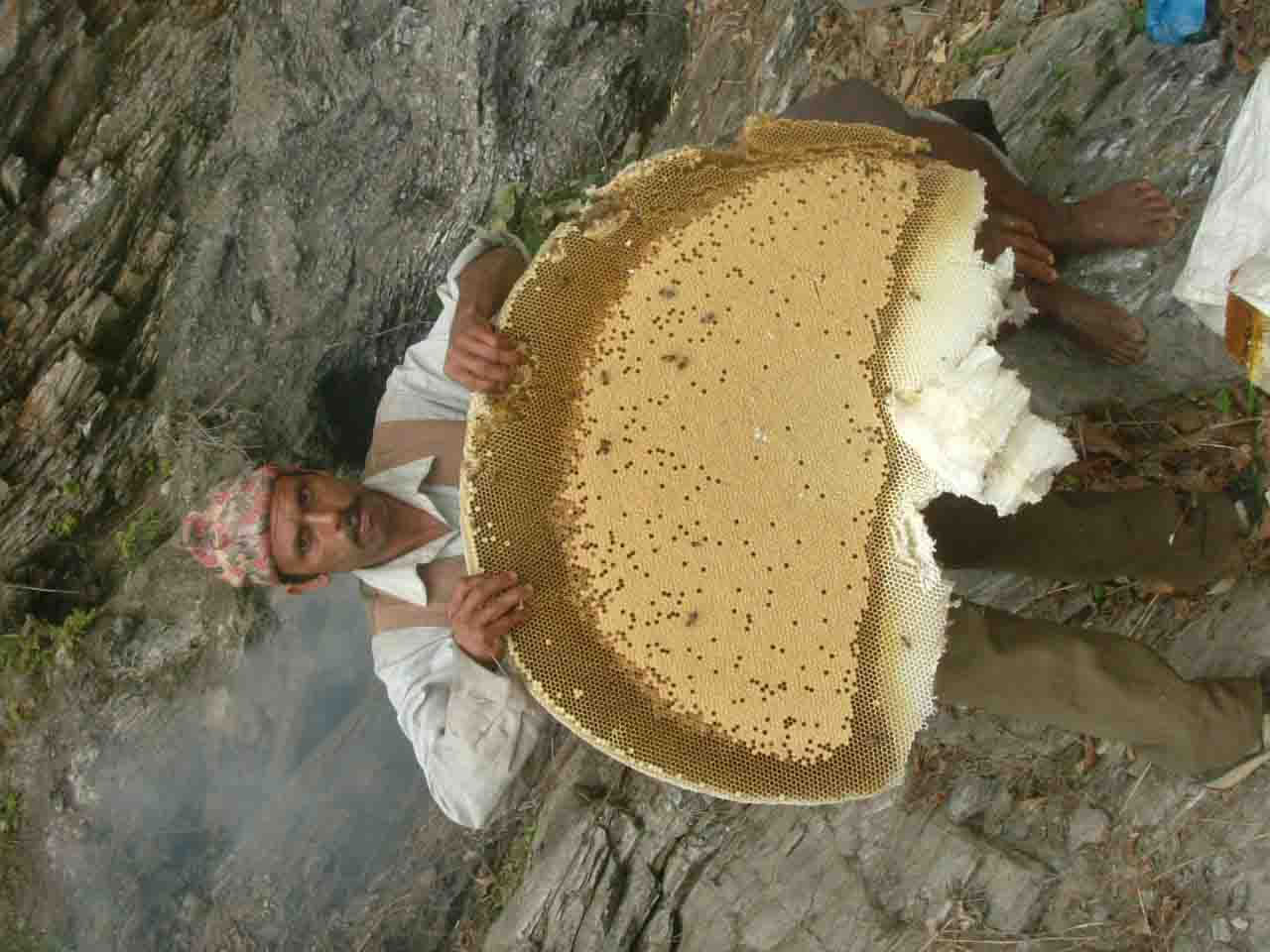 Sachitanandos turas