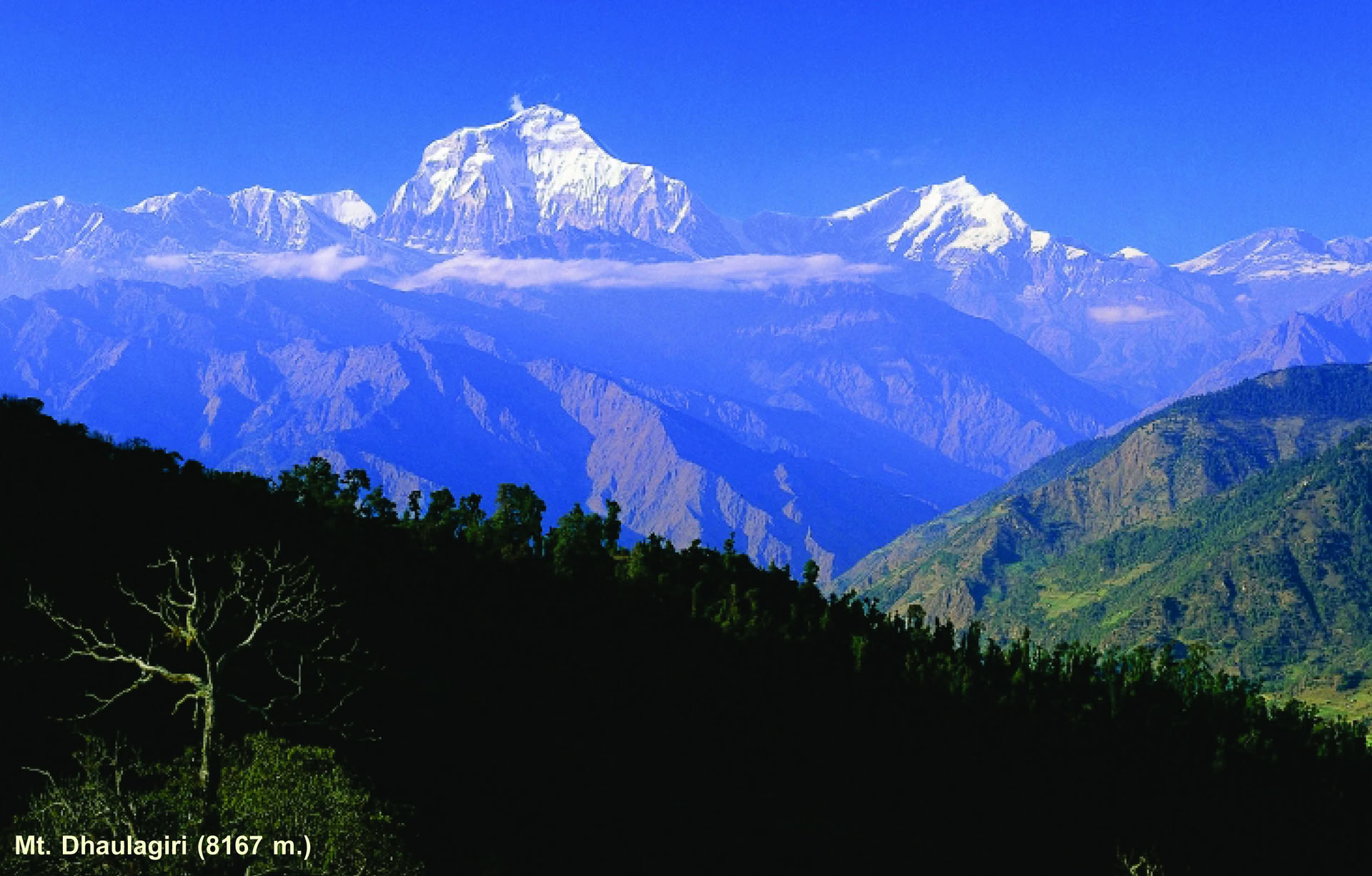 Machhapuchhre žygis ir Himalajų tyrinėjimas 11 dienų