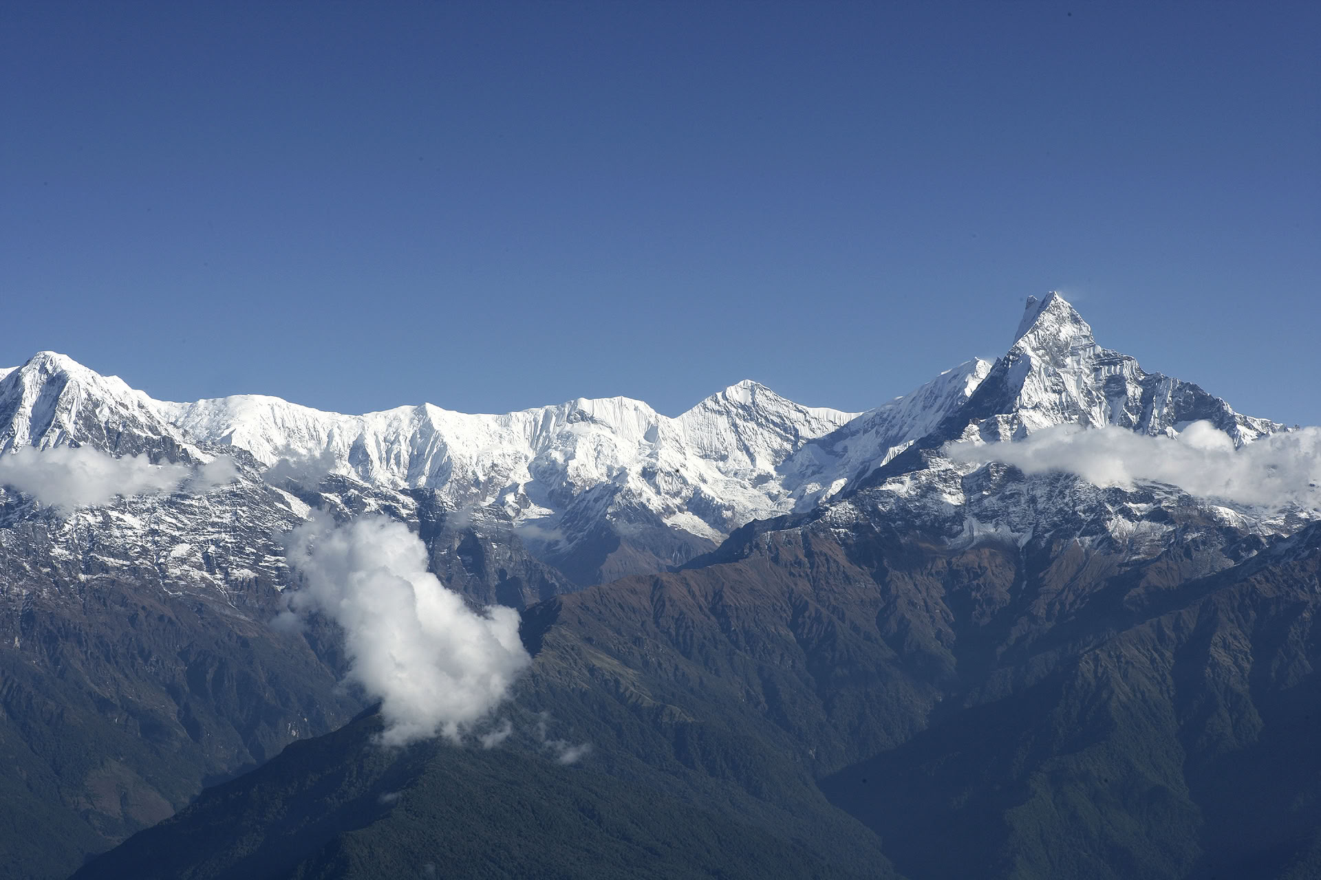 Machhapuchhre žygis ir Himalajų tyrinėjimas 11 dienų