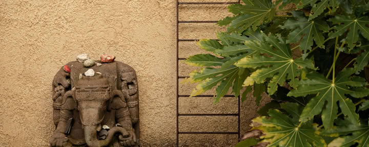 7 dienų tylos – detoksikacijos – judesio retritas