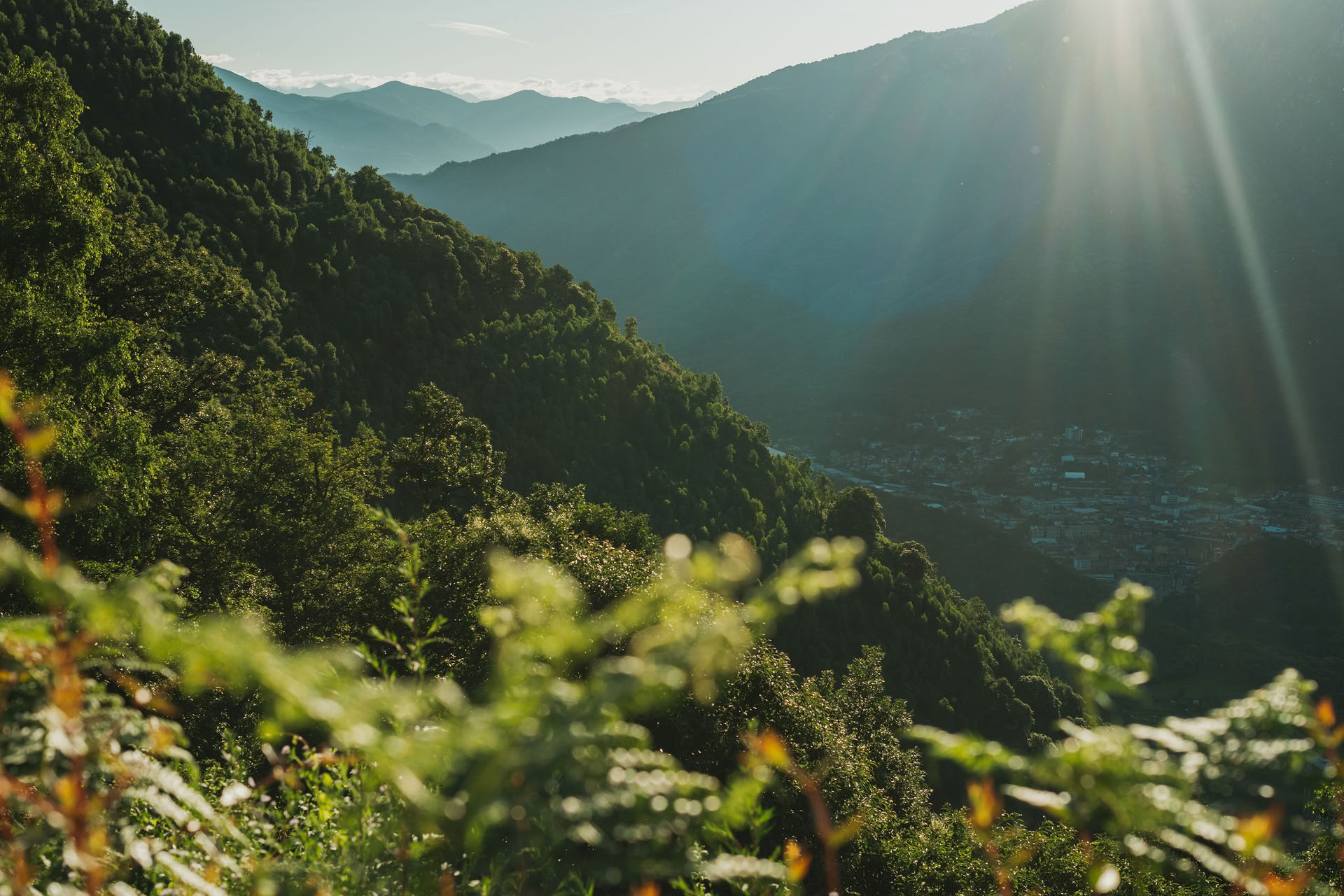7 dienų meditacijos retritas su Rupert Spira