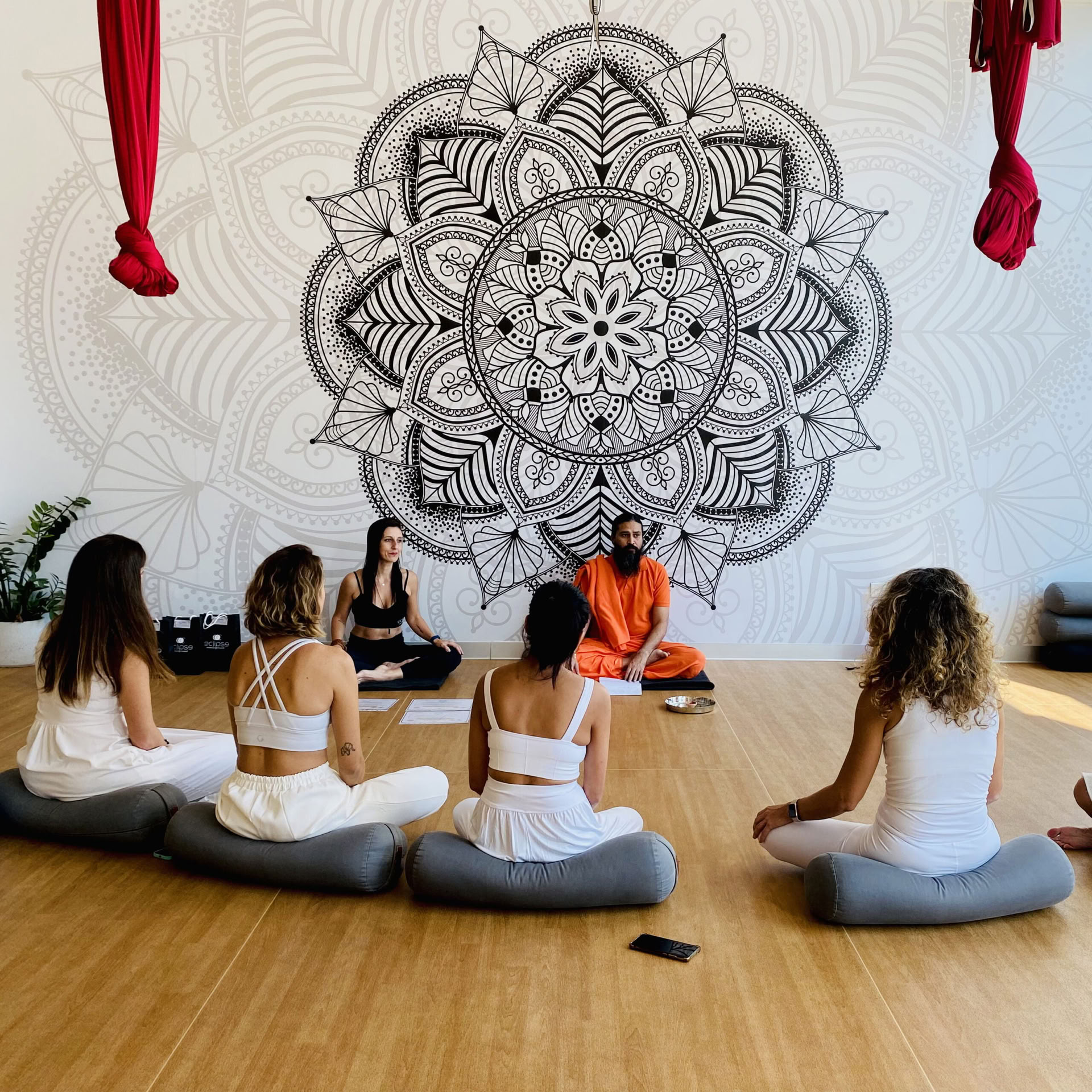 50 valandų meditacijos ir pranajamos (sąmoningas kvėpavimas) meistriškumo kursas (YACEP) HIBRIDINIS