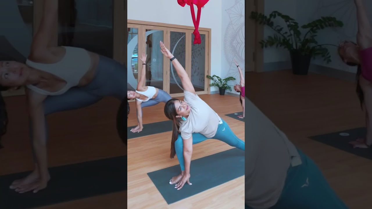 50 valandų meditacijos ir pranajamos (sąmoningas kvėpavimas) meistriškumo kursas (YACEP) HIBRIDINIS