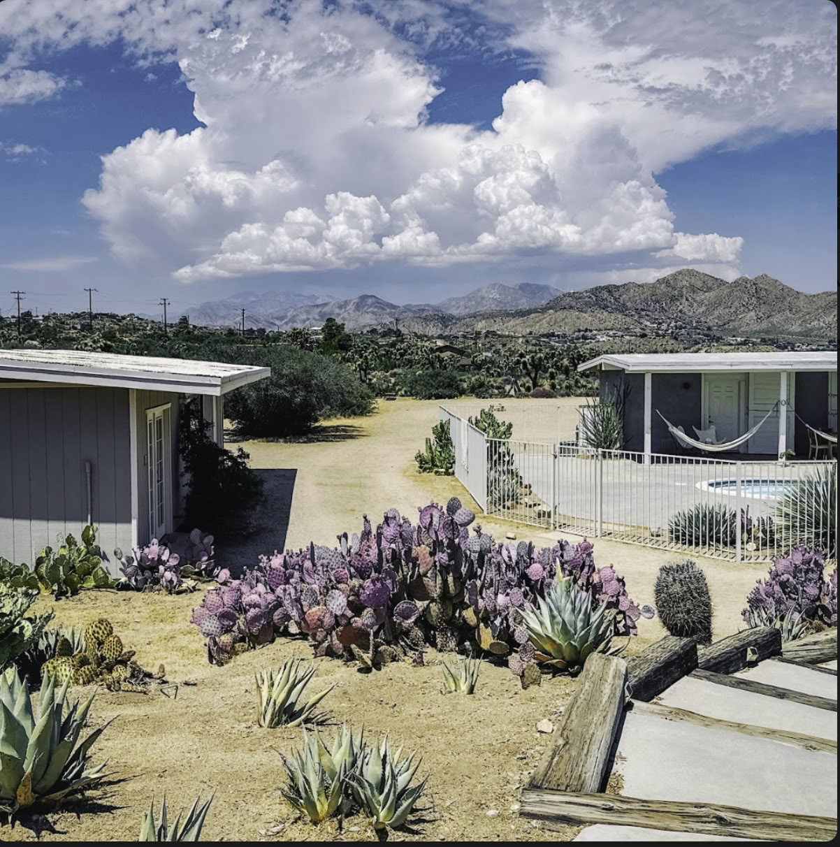 Cactus Moon :: Sugrįžimas su Liz ir Megan
