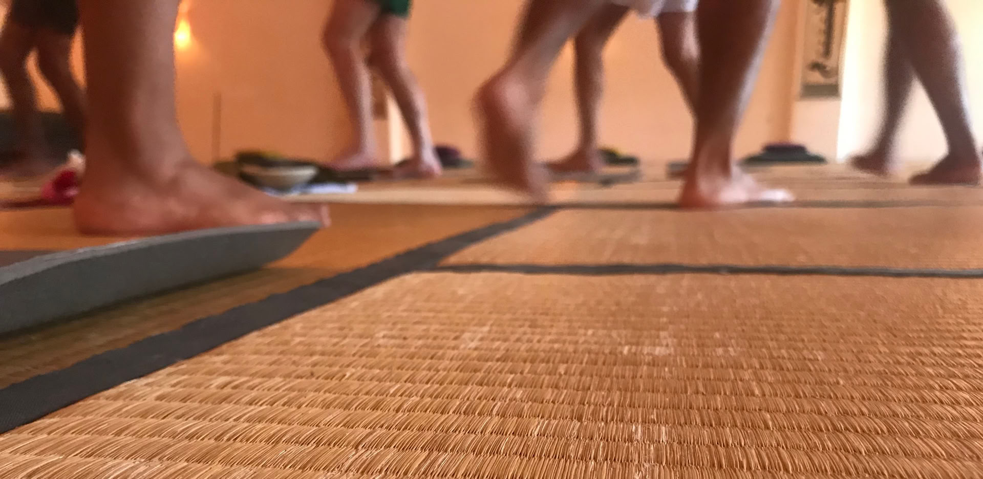 Iyengar klasė