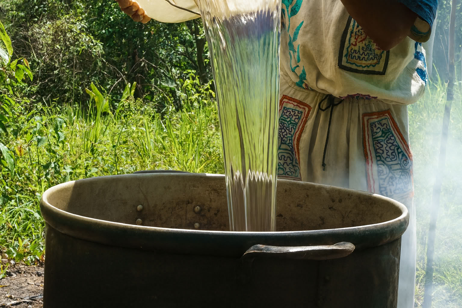 7 dienų ayahuasca retritas