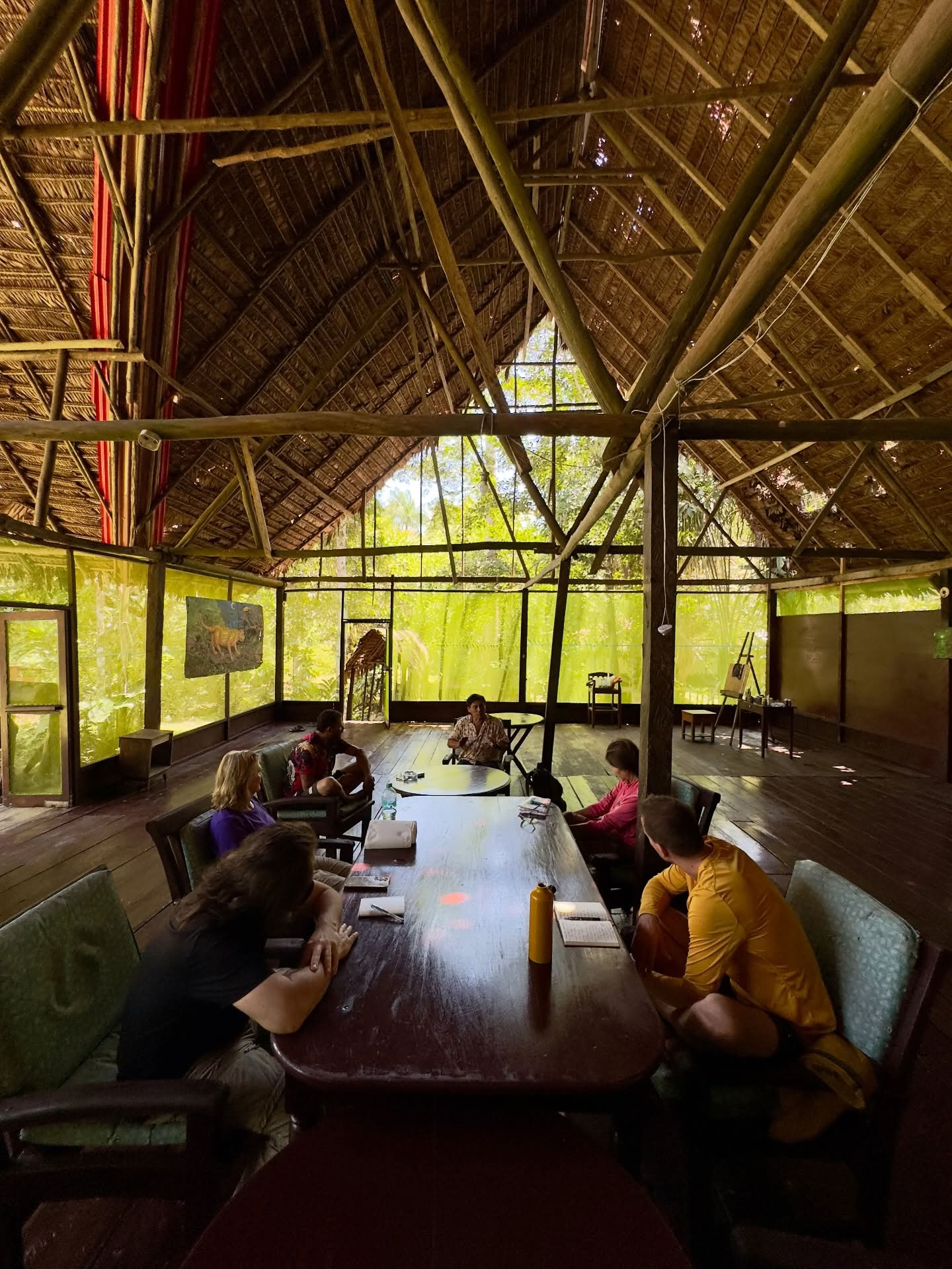 7 dienų ayahuasca retritas