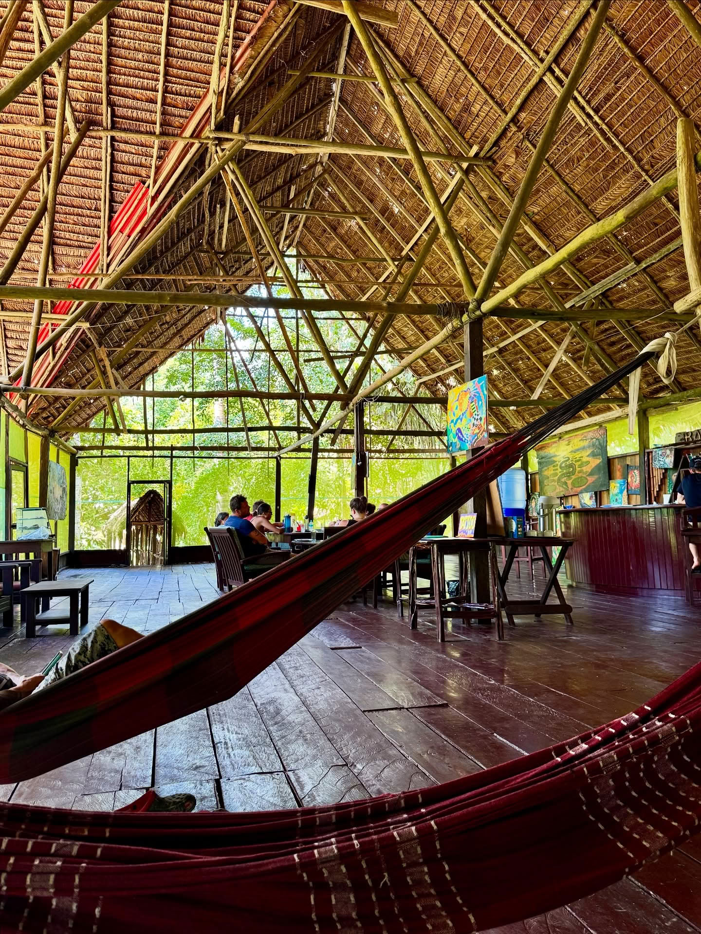 7 dienų ayahuasca retritas