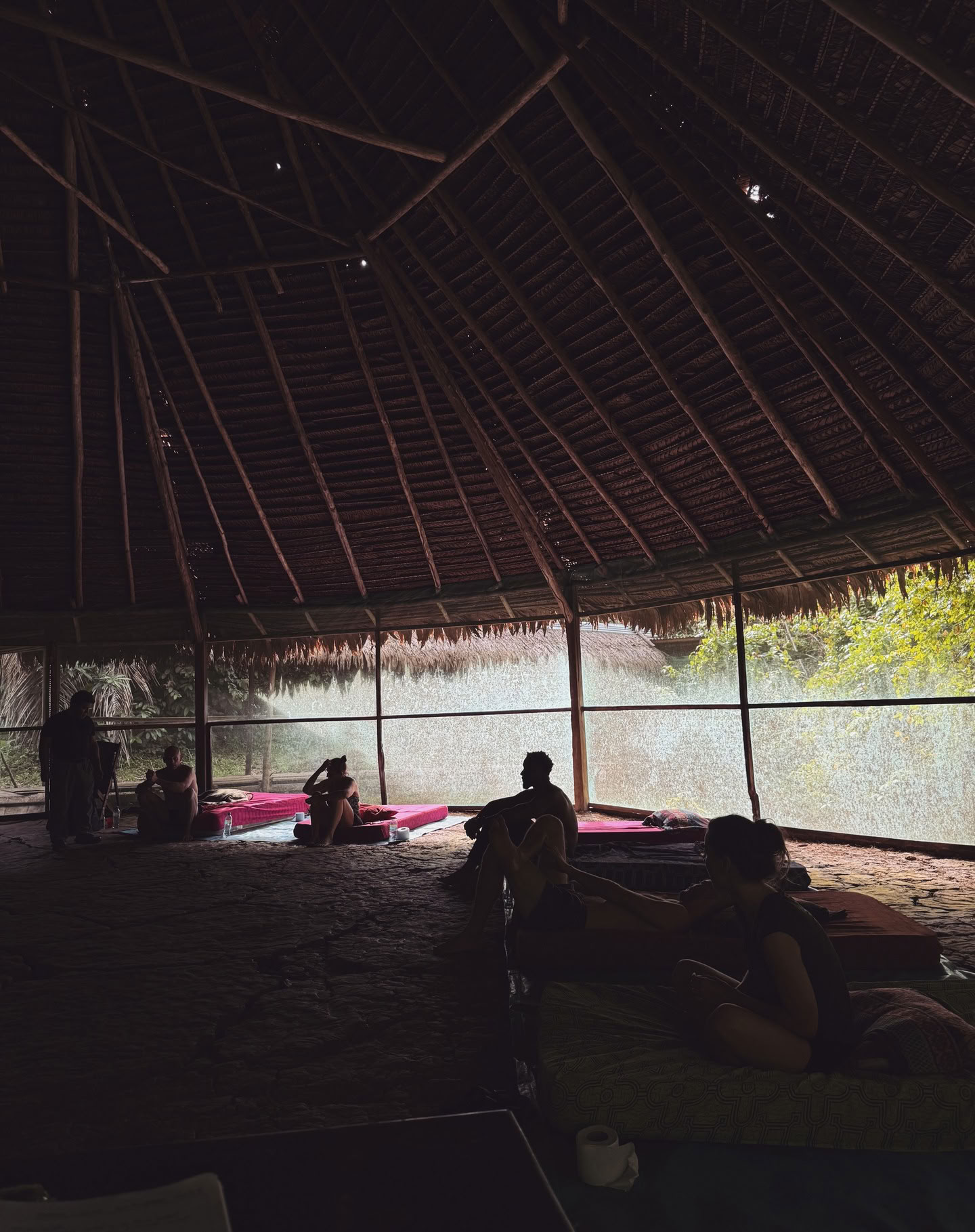 7 dienų ayahuasca retritas