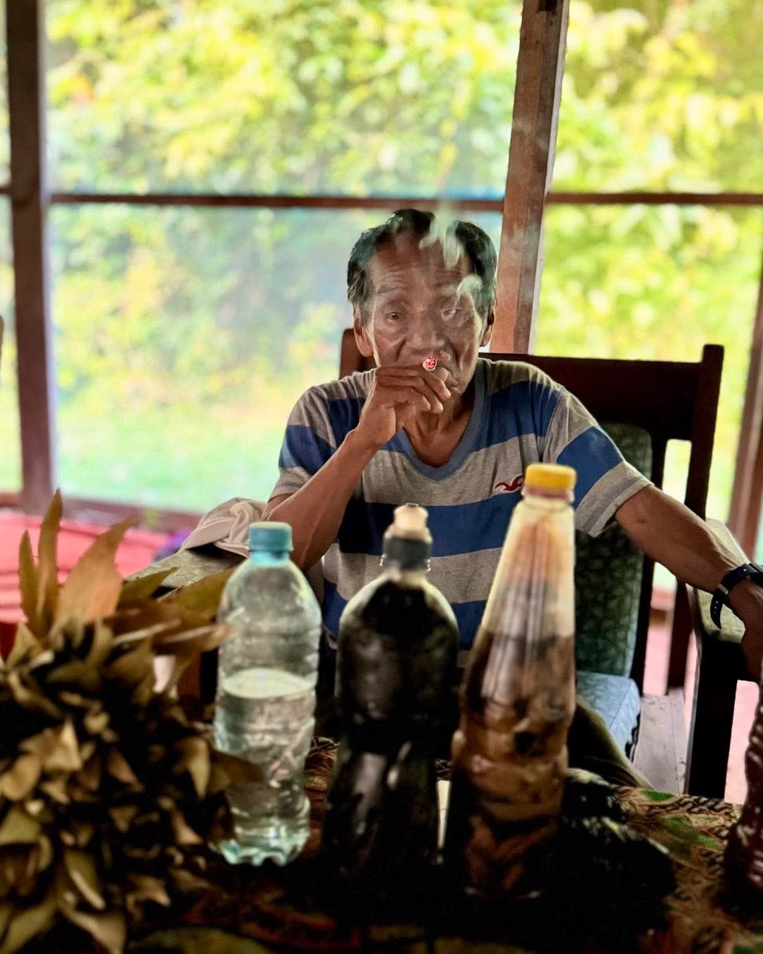 7 dienų ayahuasca retritas