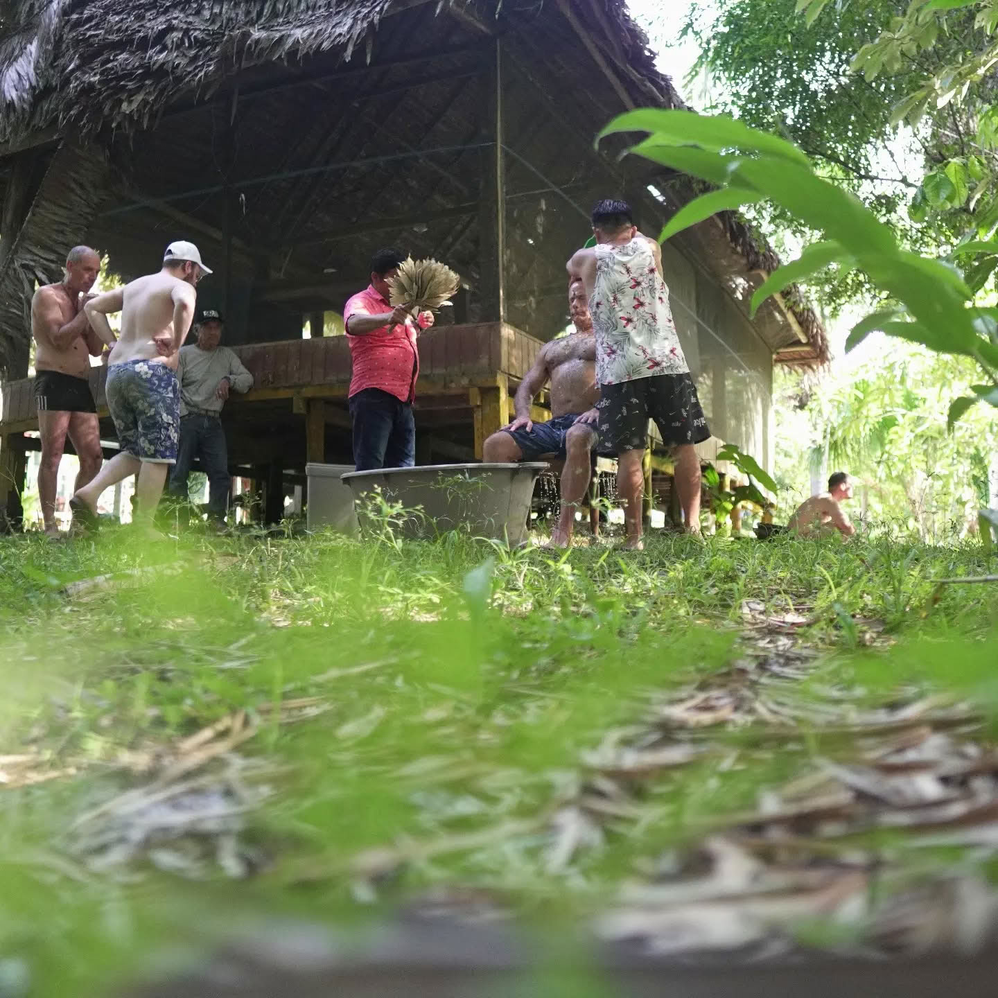 7 dienų ayahuasca retritas