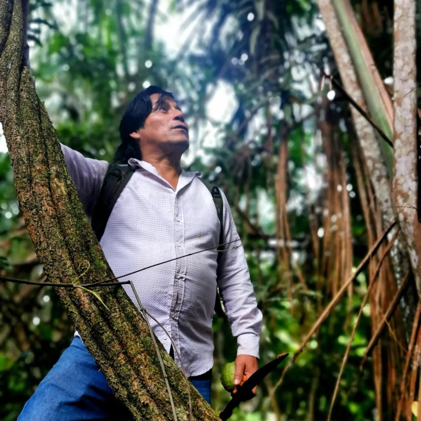 7 dienų ayahuasca retritas