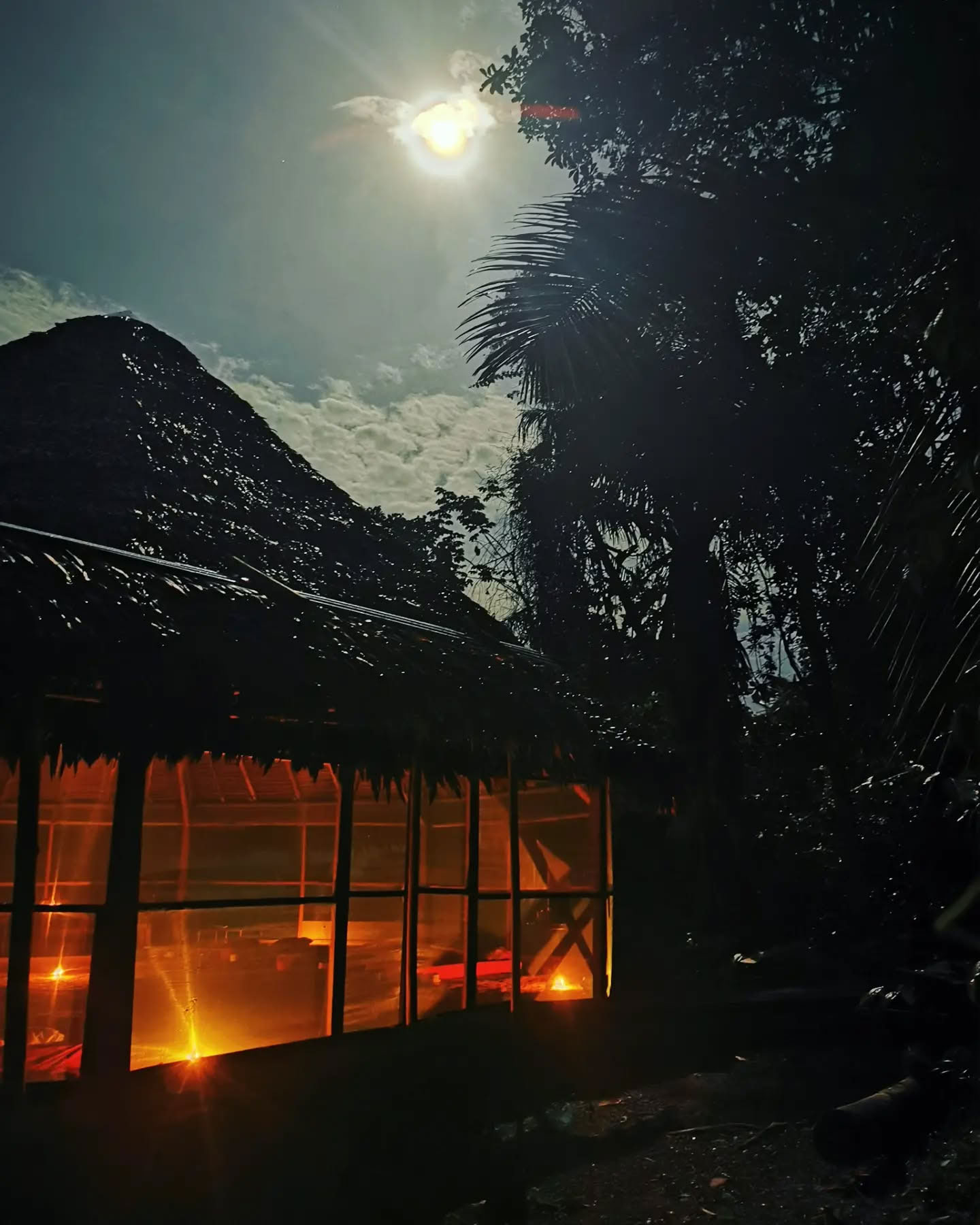 7 dienų ayahuasca retritas